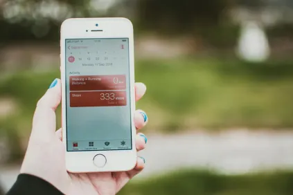 BingoFling Casino Application mobile